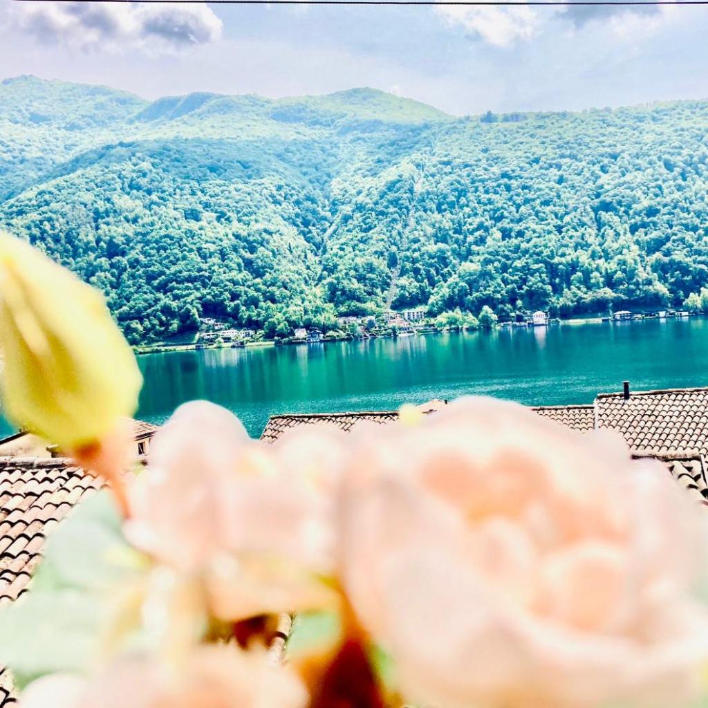 Casa Angiolina - Holidays – Bild