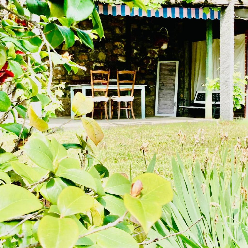 Casa Angiolina - Holidays – Bild