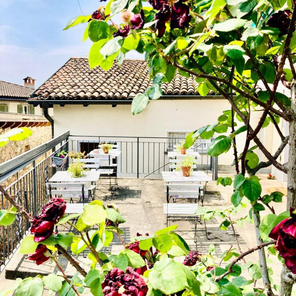 Casa Angiolina - Holidays – Bild