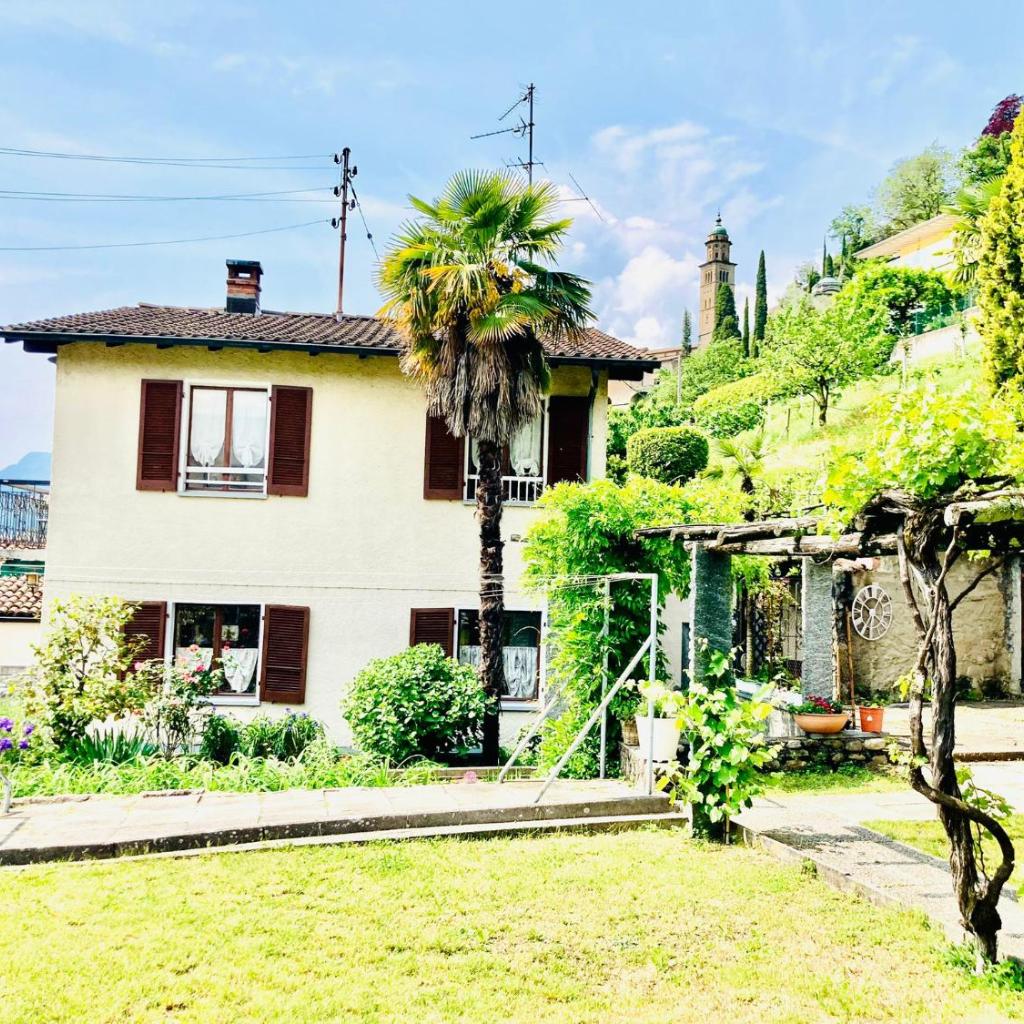 Casa Angiolina - Holidays – Bild