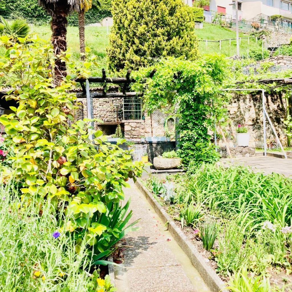 Casa Angiolina - Holidays – Bild