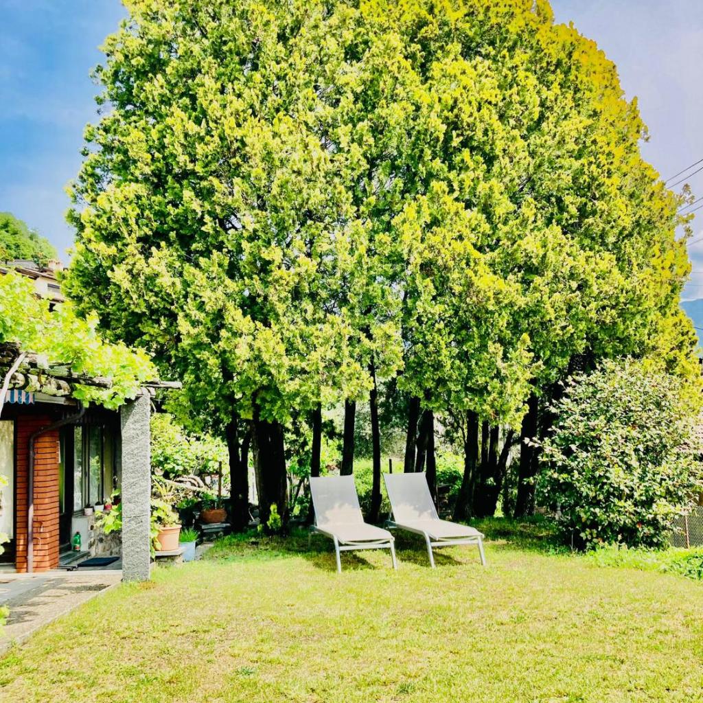 Casa Angiolina - Holidays – Bild