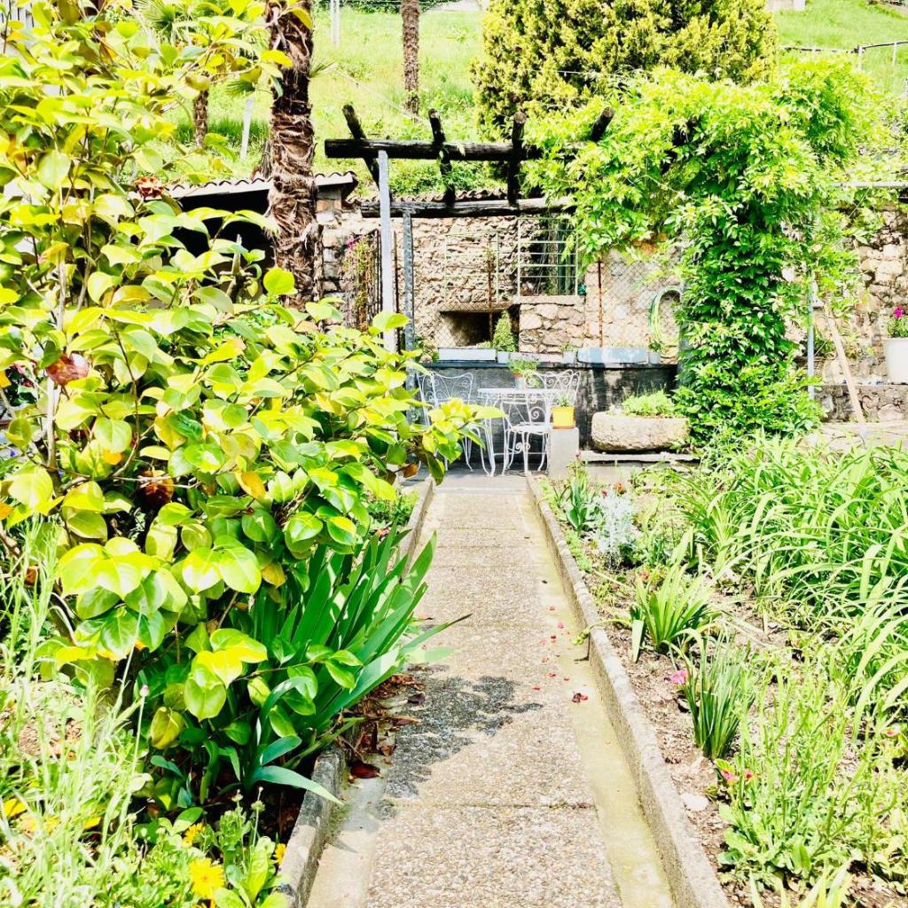 Casa Angiolina - Holidays – Bild