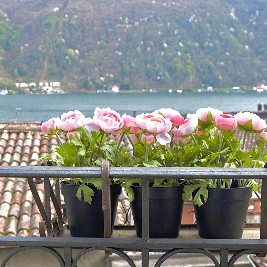 Casa Angiolina - Holidays – Bild