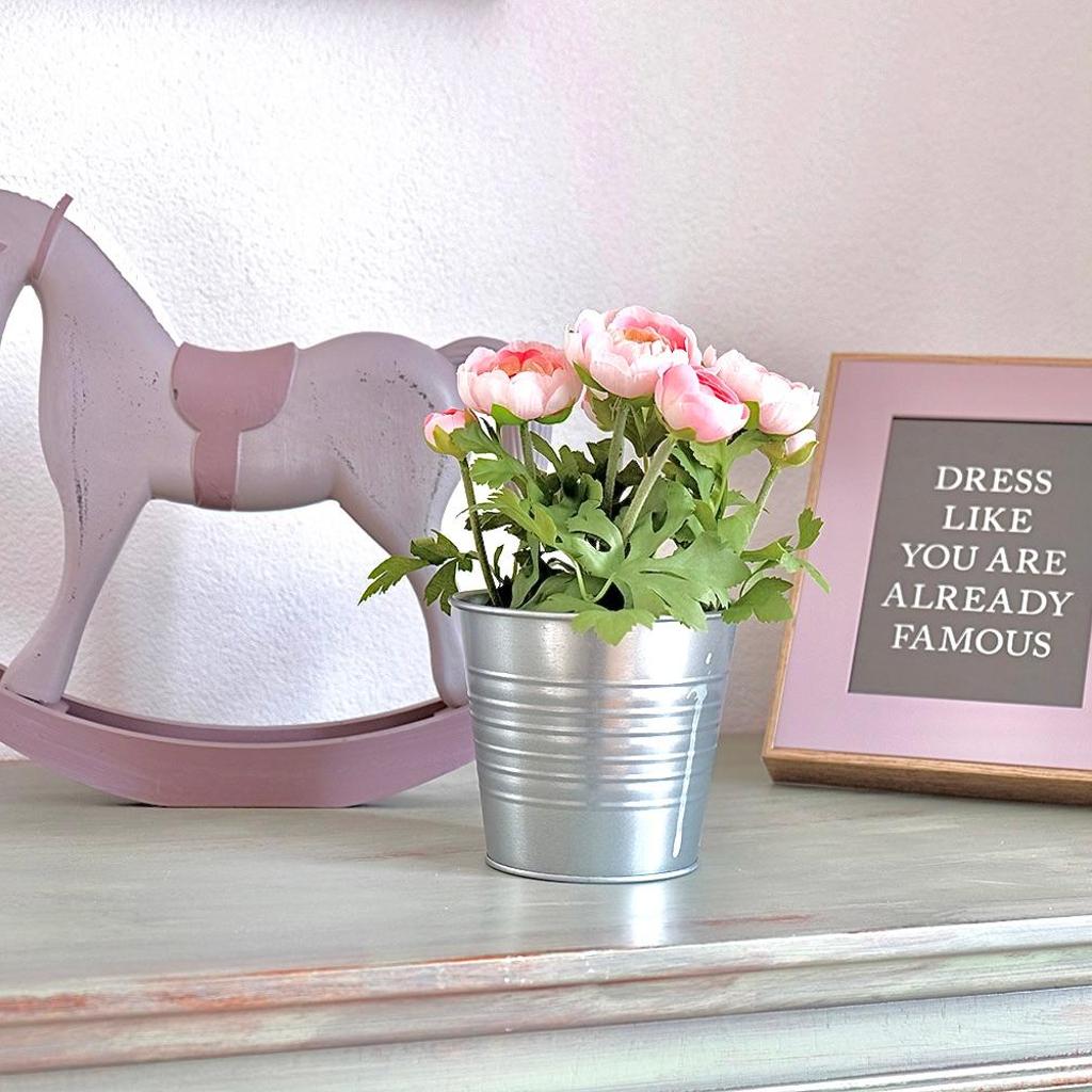 Casa Angiolina - Holidays – Bild