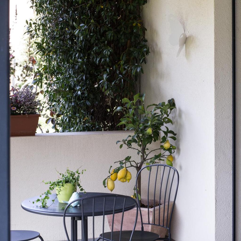 B&B Il Vigneto – Bild