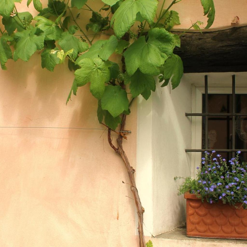 Image 23 - Casa don Bosco