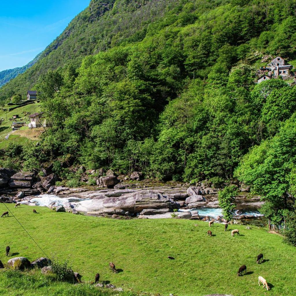 Image 32 - Casa al Fiume by Quokka 360 - Riverside House in the Verzasca Valley