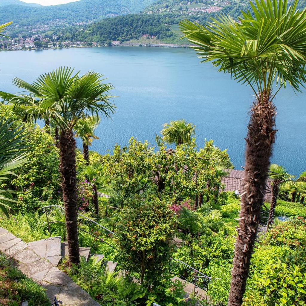 Image 11 - La Palma 3 by Quokka 360 - Lake View Studio with Private Terrace