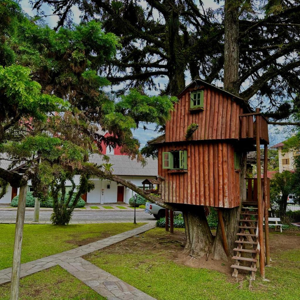 Natur Hotel - 700m da Rua Coberta — foto 11