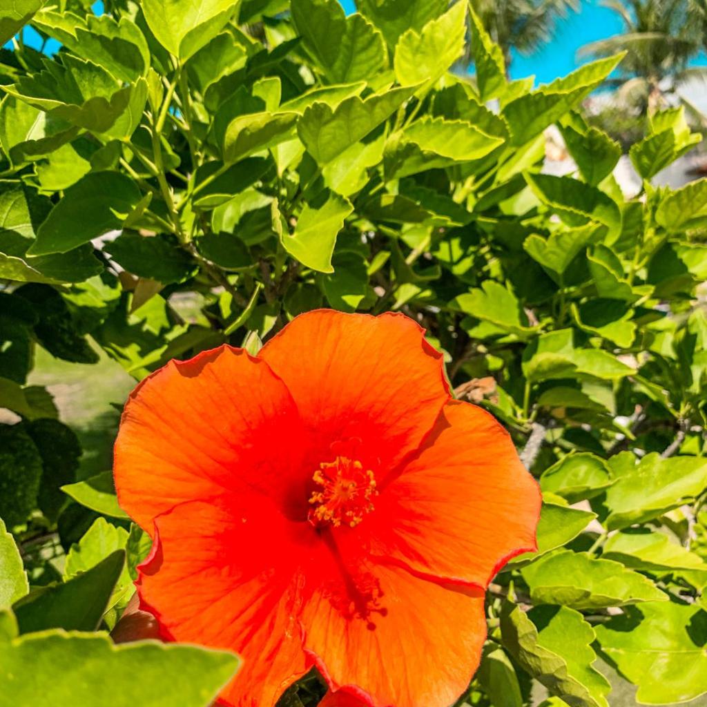 Pousada La Goduria — foto 5