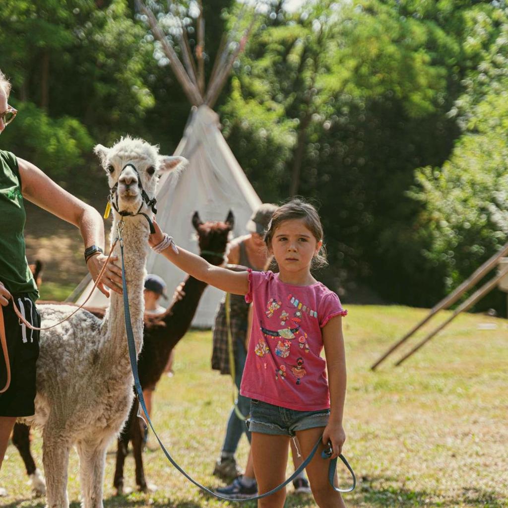 Ca Stella Camping del Monte San Giorgio – Bild