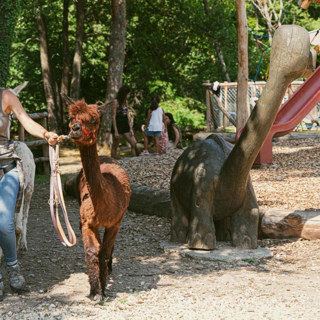 Ca Stella Camping del Monte San Giorgio – Bild