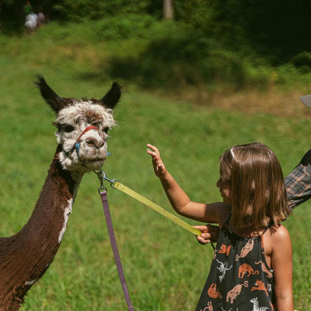 Ca Stella Camping del Monte San Giorgio – Bild