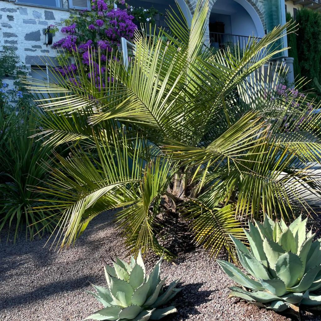 Image 40 - Casa Sonora