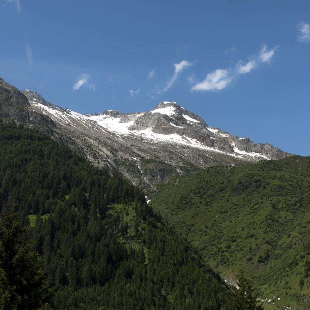 "CHALET dei FIORI" room & apartment – Bild