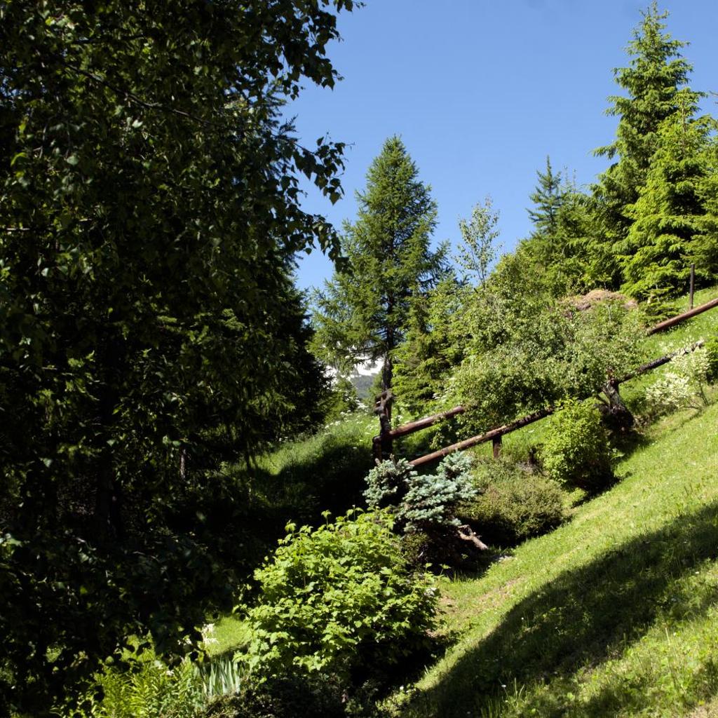 "CHALET dei FIORI" room & apartment – Bild