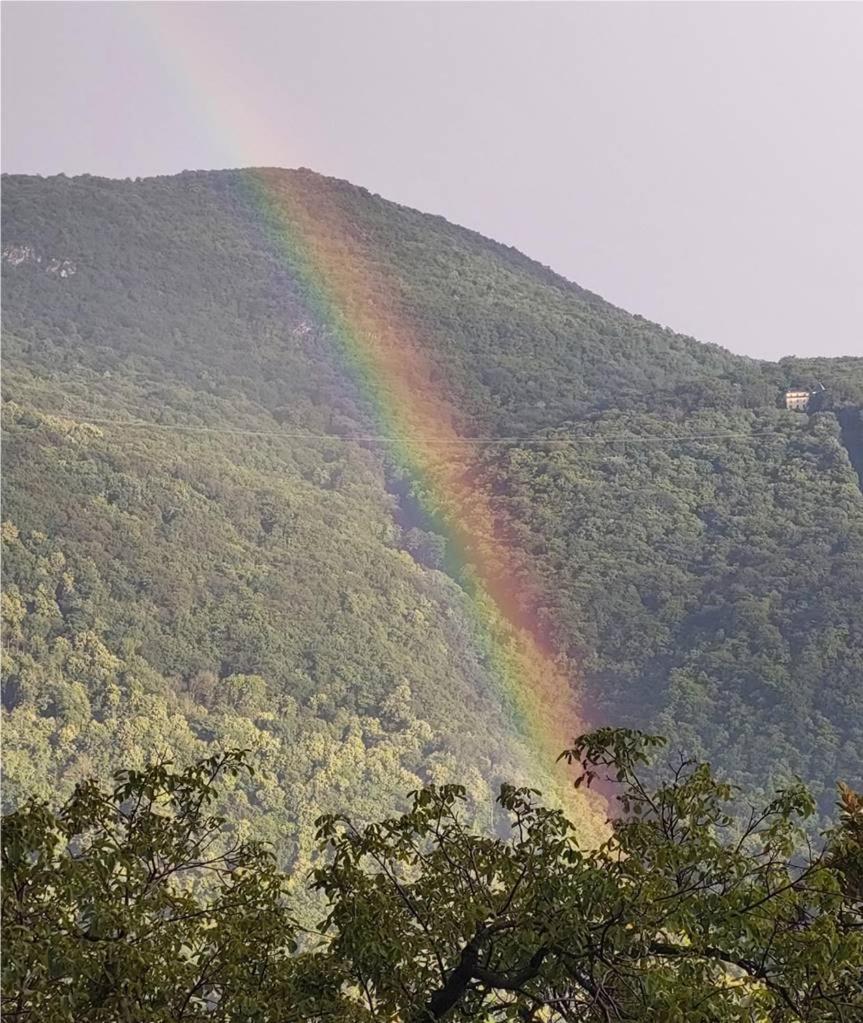 Image 13 - Auf dem Regenbogen
