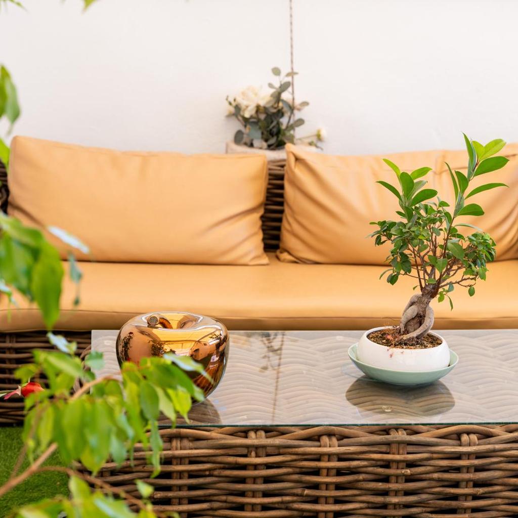 B&B palazzo nicolaus del borgo antico photo