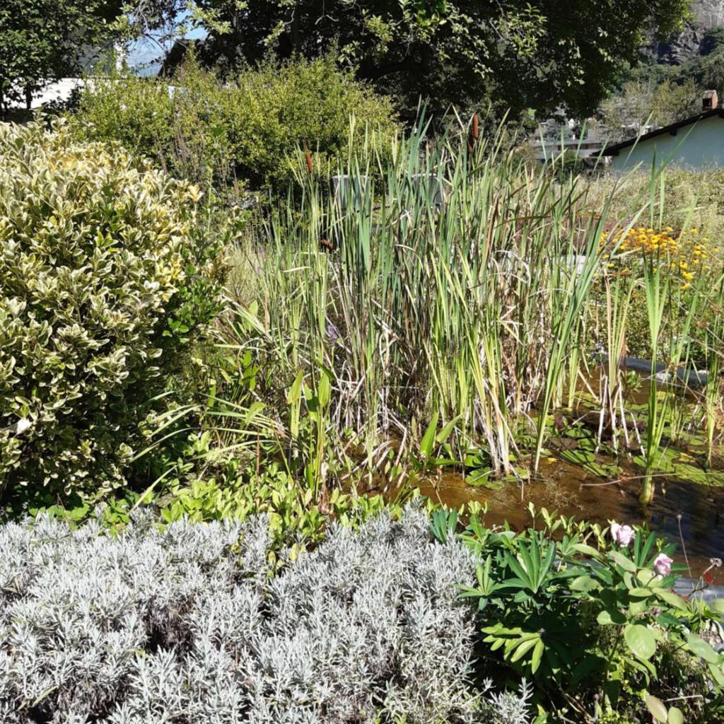 Grotto Pergola – Bild