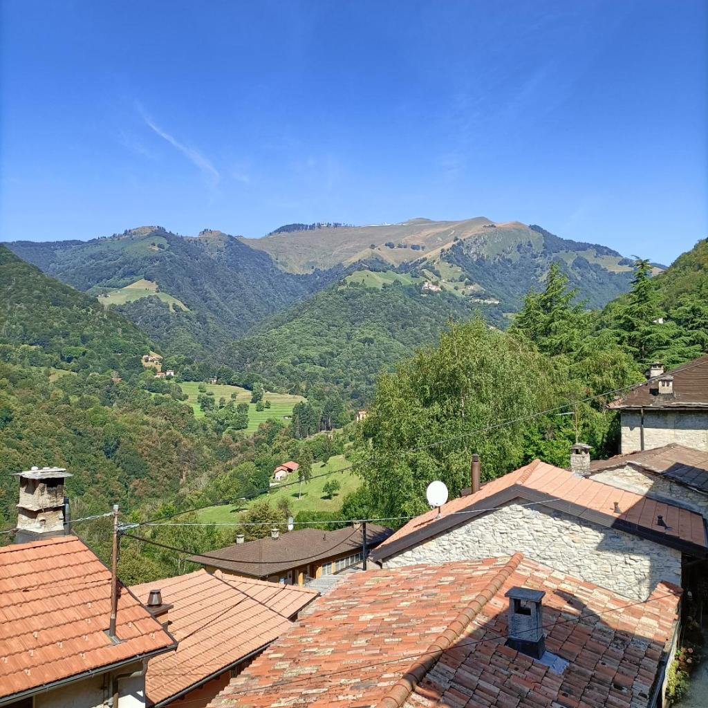 La Capinera – immagine