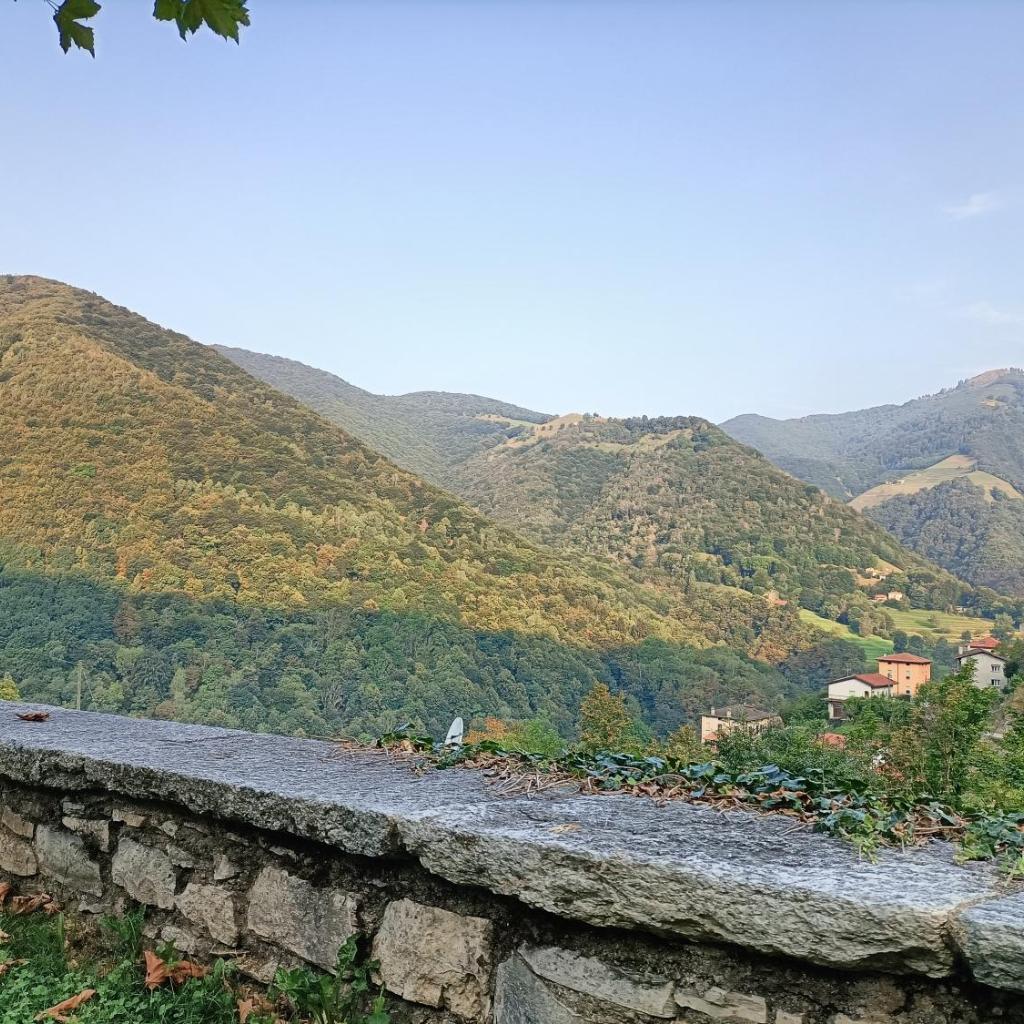 La Capinera – immagine