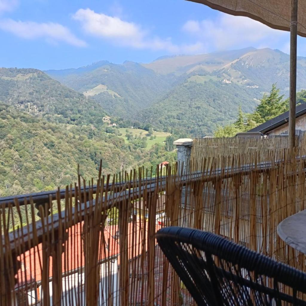 La Capinera – immagine