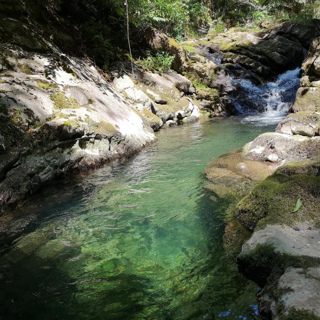 La Capinera – immagine