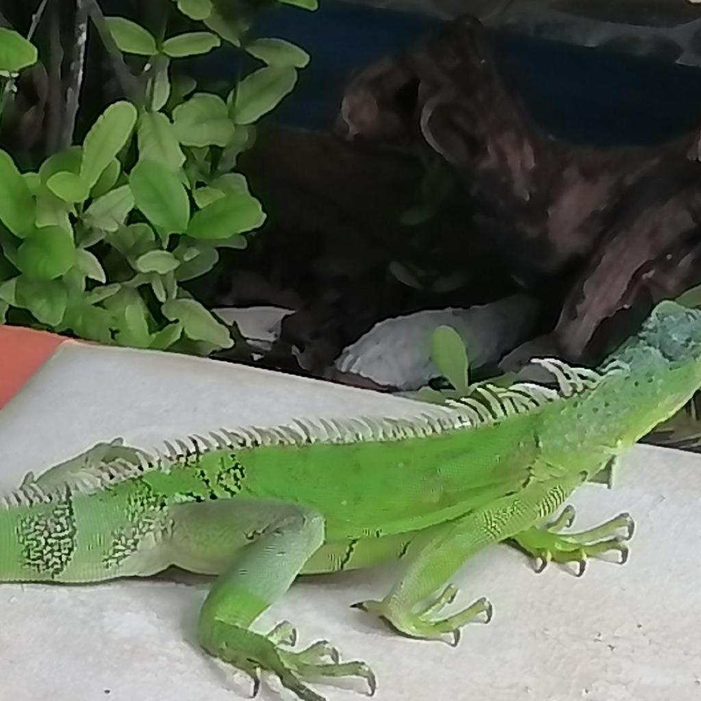 Foto 65