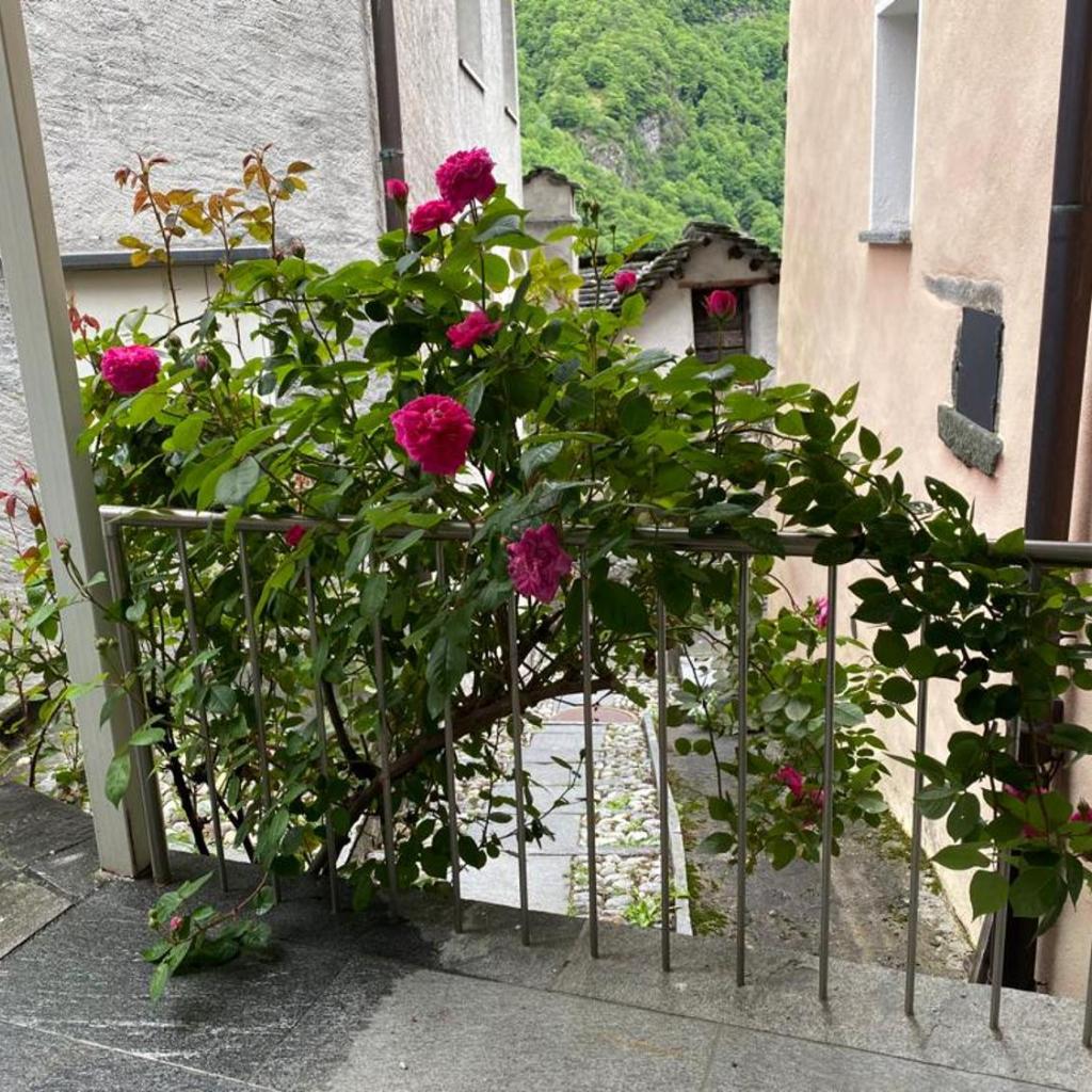 Image 14 - Casa nonna Domenica