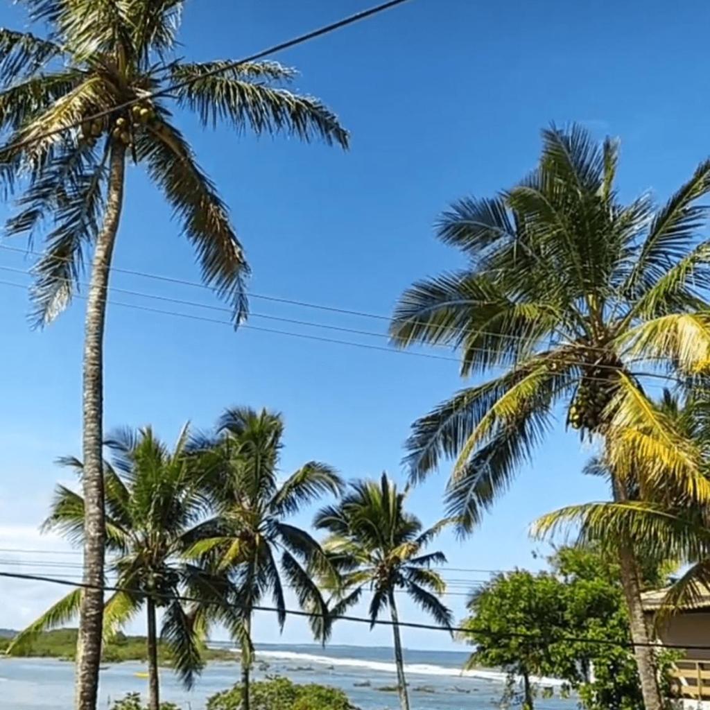 Pousada Tropicália Tranquilidade a Beira Mar — foto 11