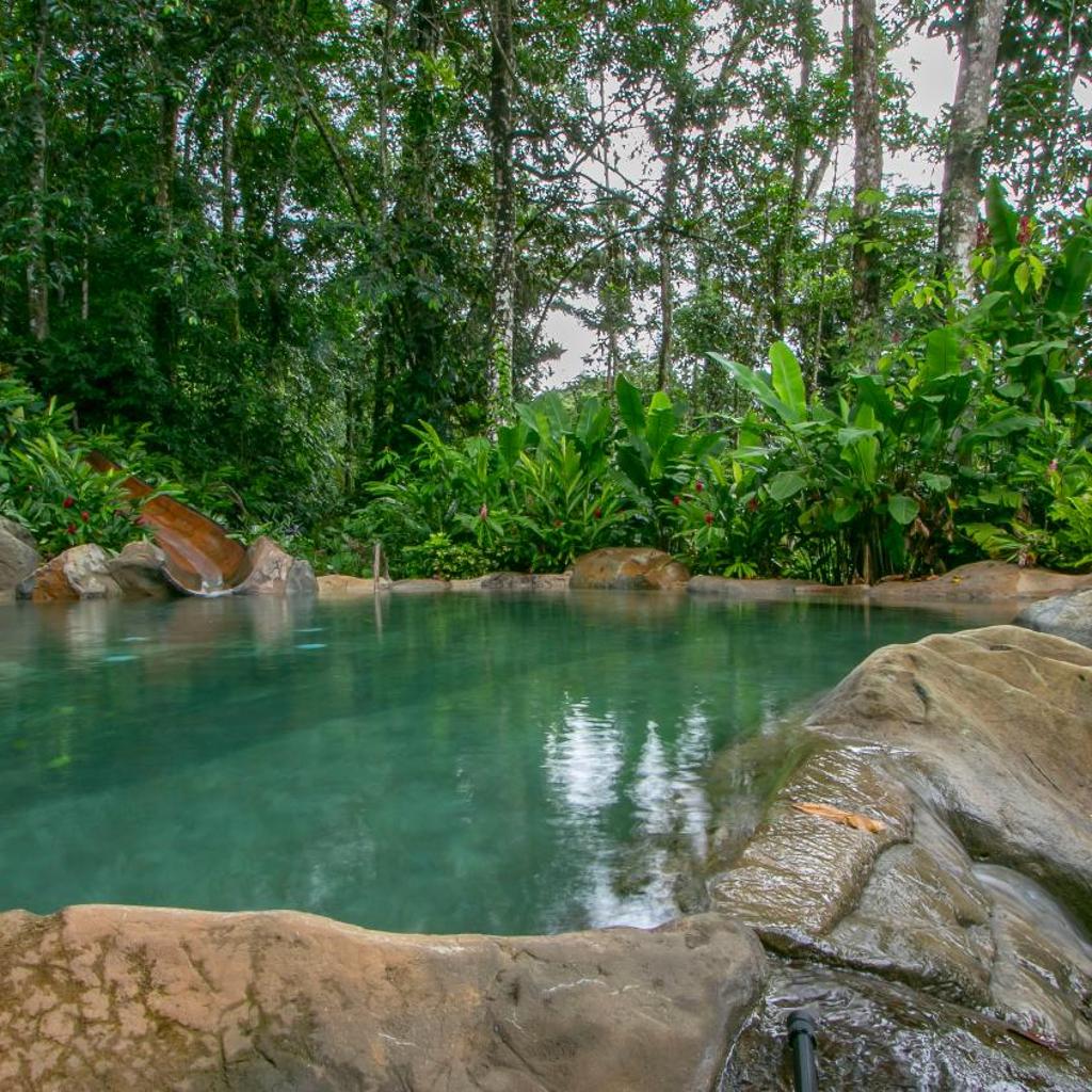 Chachagua Rainforest Hotel & Hot Springs — 
