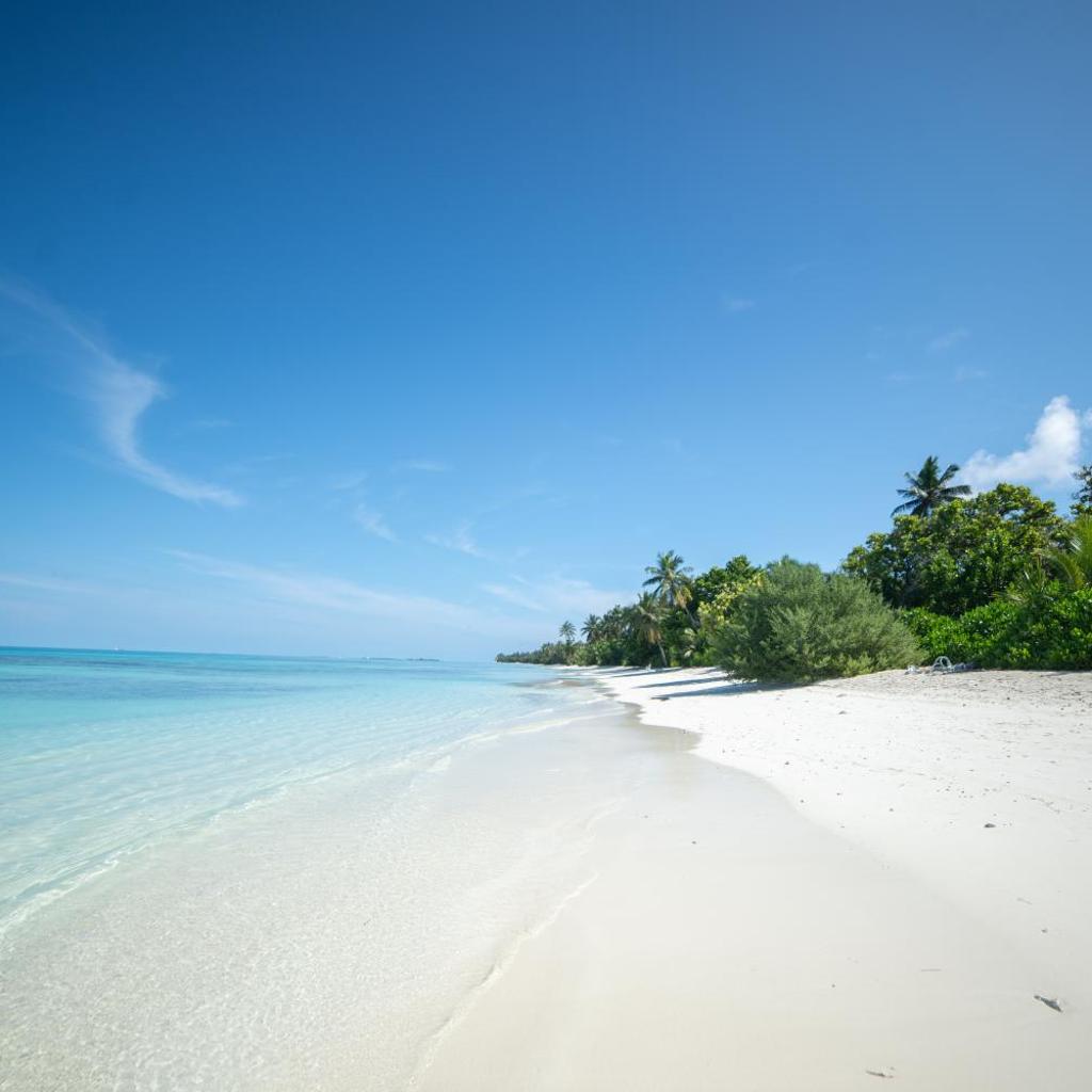 Whaleshark Beach, photo 4