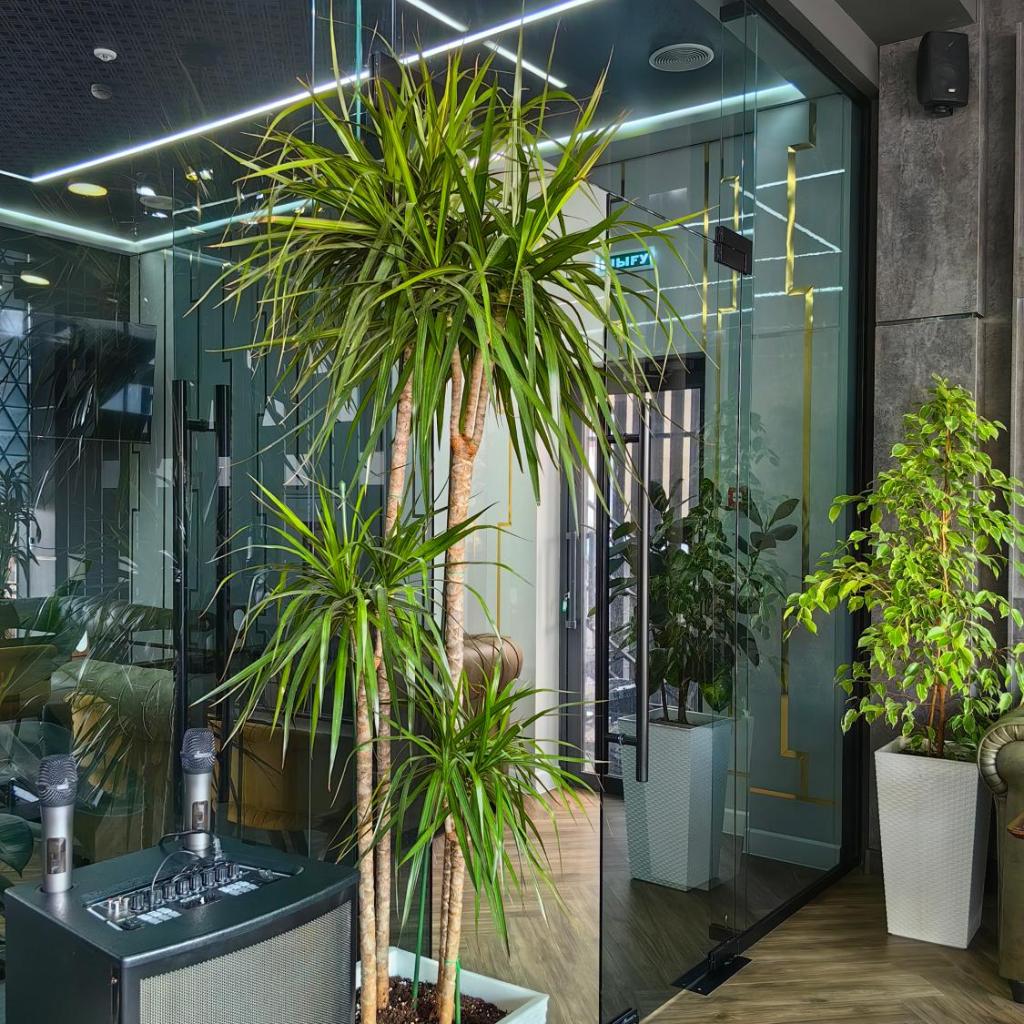 Shymkent Park Hotel — 
