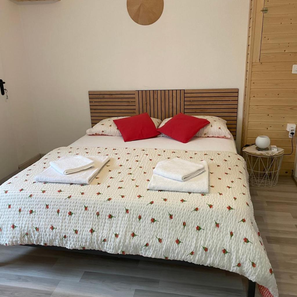 Camera Enaj – image