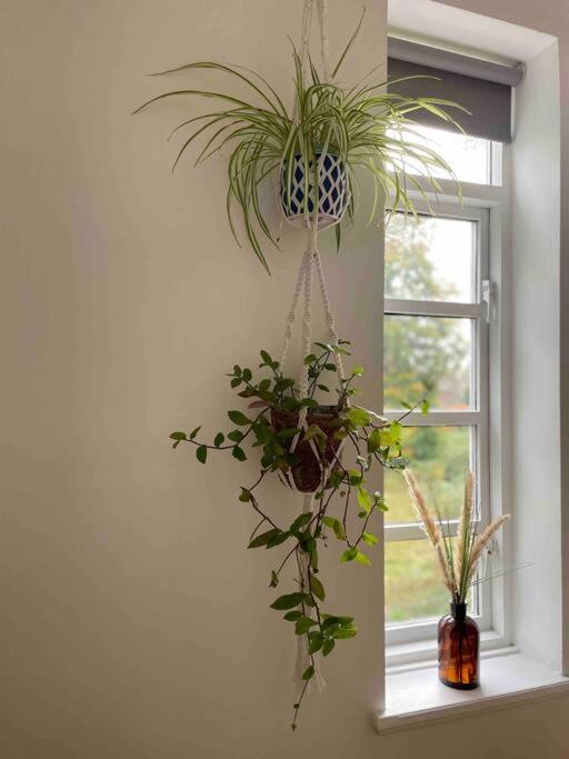 Photograph of Linnet House - Relaxing - Leafy - Whole Apt- 2 Bed