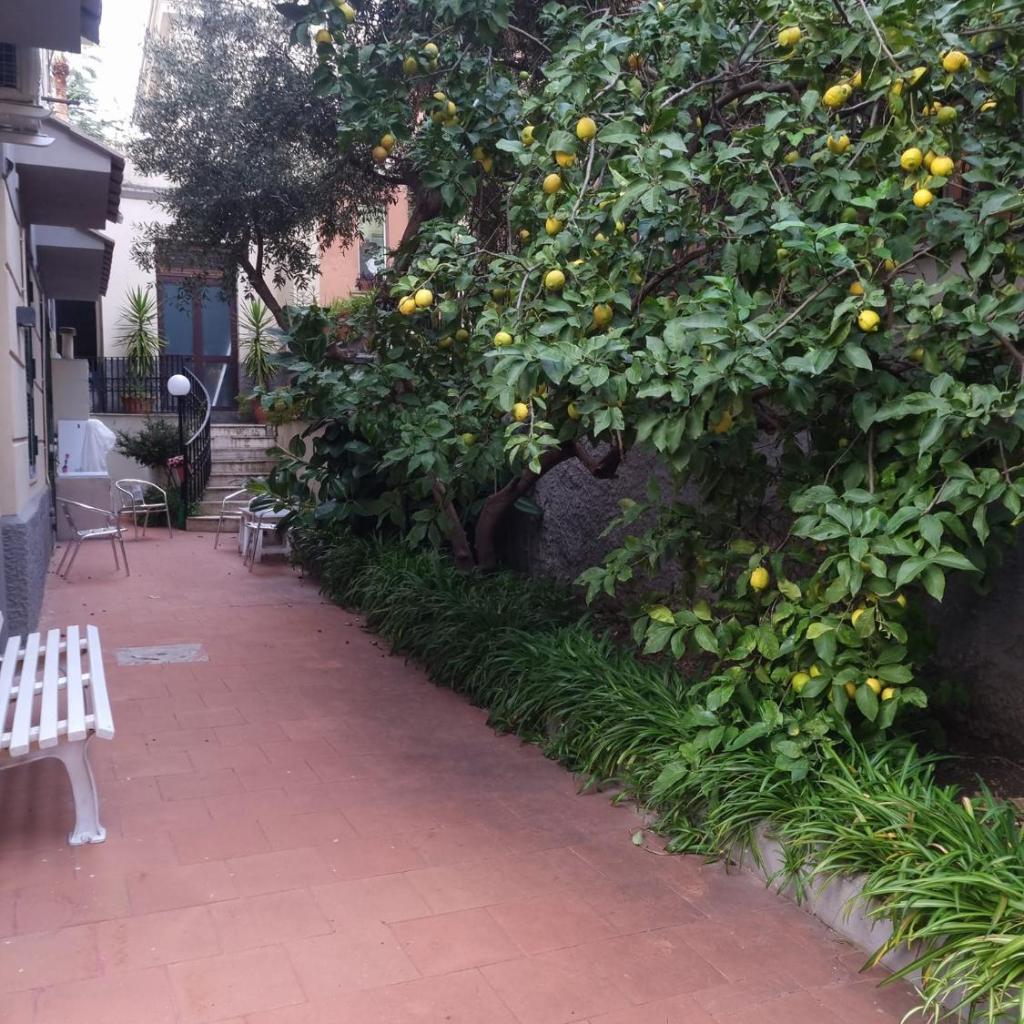 Photograph of La Casetta di Oppi