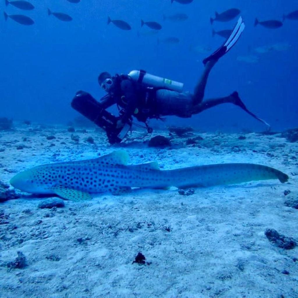 Oren Hotel Maldives, photo 5