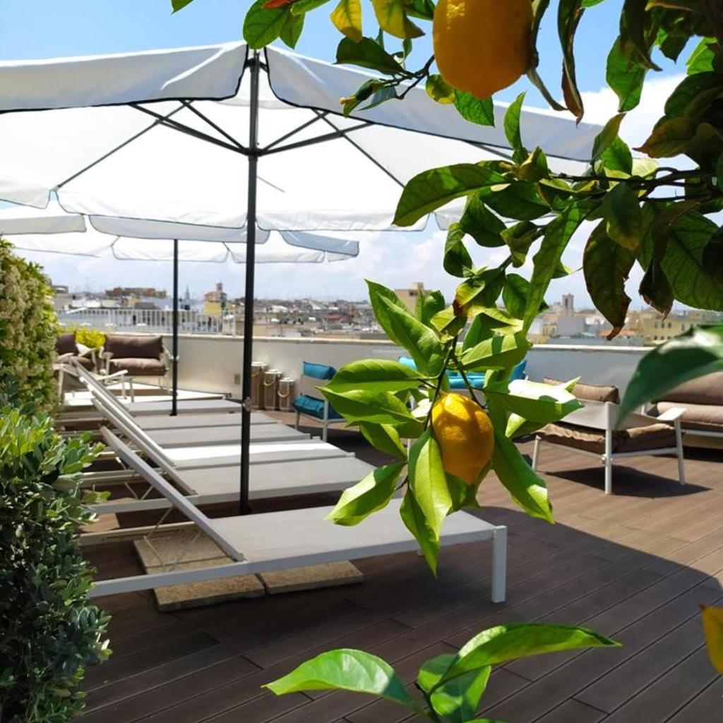 DOGANA RESORT — 