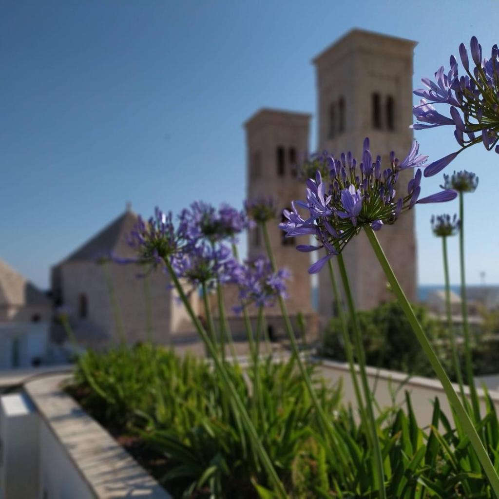 DOGANA RESORT — 