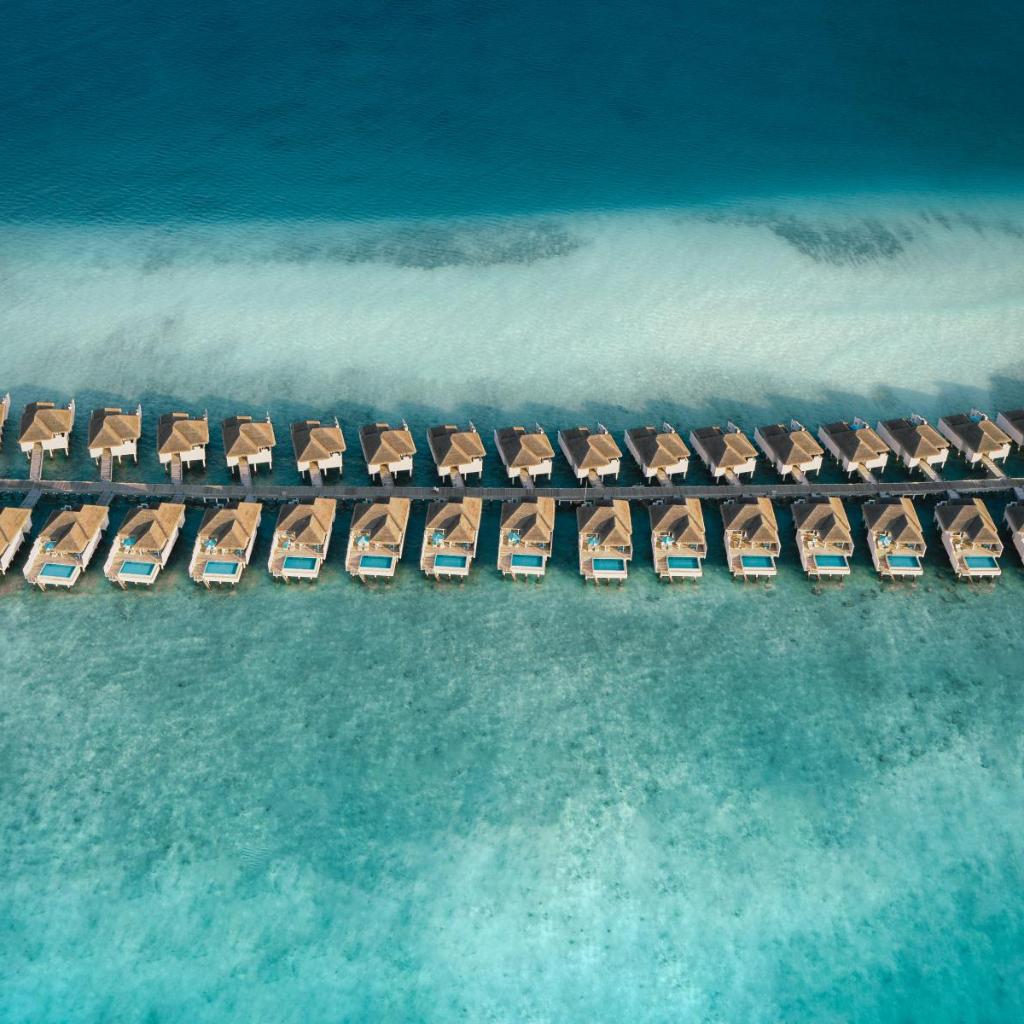 Finolhu, a Seaside Collection Resort, photo 5