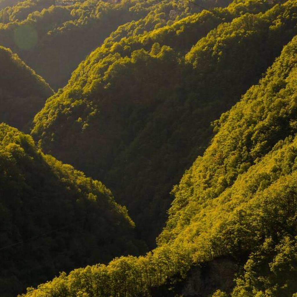 Image 13 - Wild Valley Puro Ticino 2 in Valle Onsernone