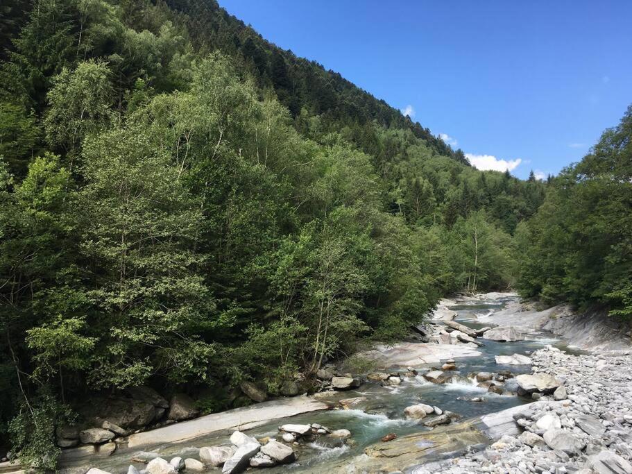Image 5 - Wild Valley Forest View 3 in Valle Onsernone