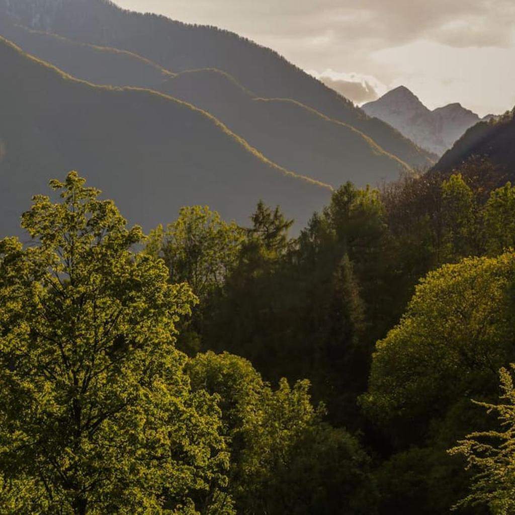 Image 5 - Wild Valley Forest View 4 in Valle Onsernone