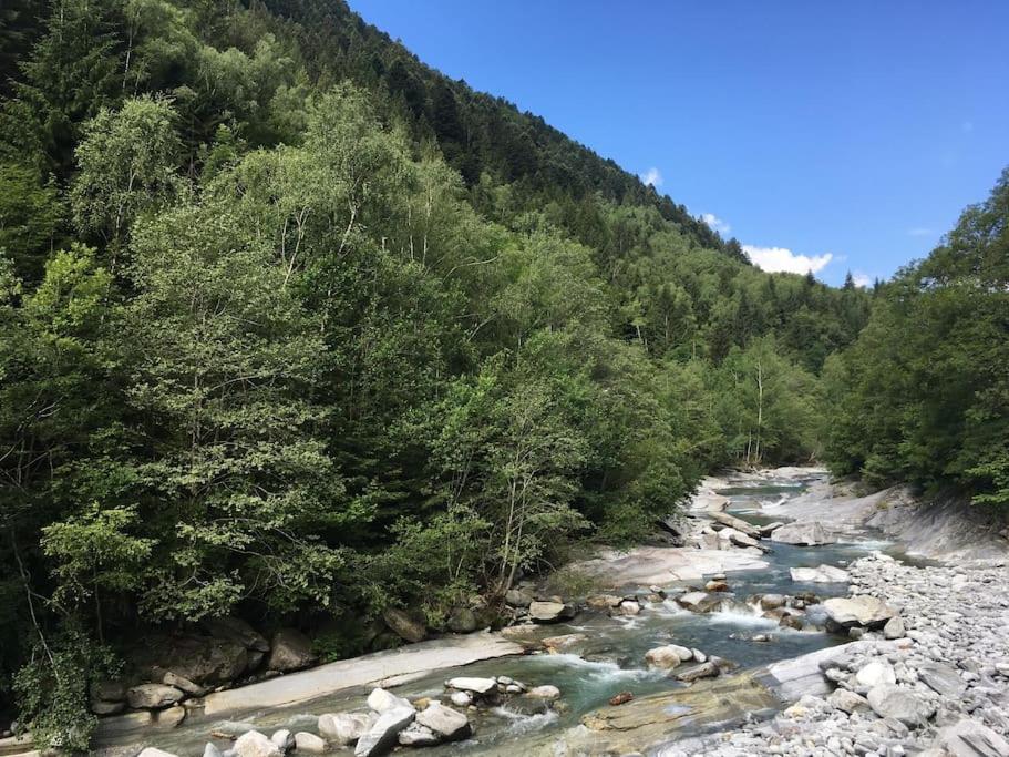 Image 12 - Wild Valley Forest View 4 in Valle Onsernone