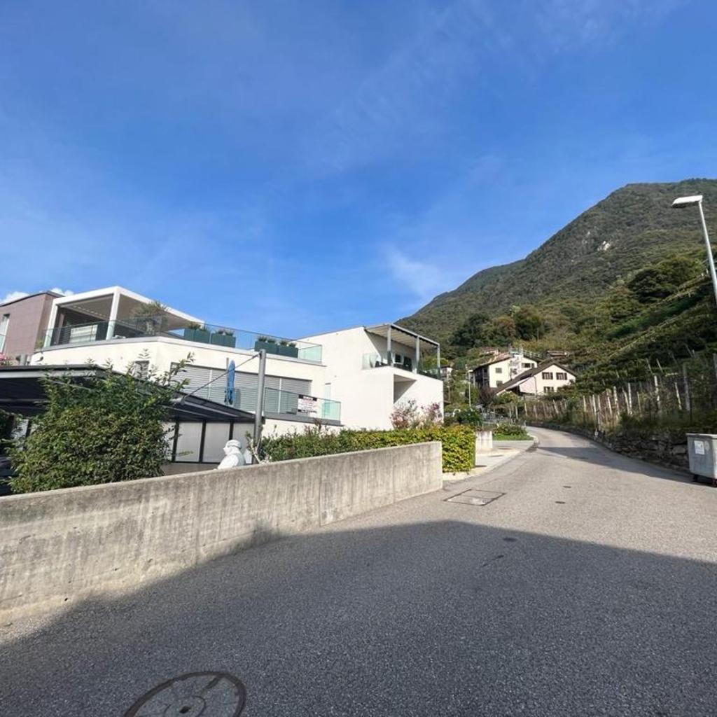 Image 25 - Violet-Sky Bellinzona