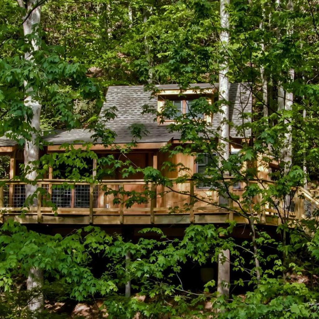 Photograph of The Cedar in Treehouse Grove at Norton Creek