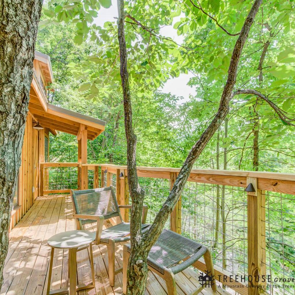 Photograph of The Cherry in Treehouse Grove at Norton Creek