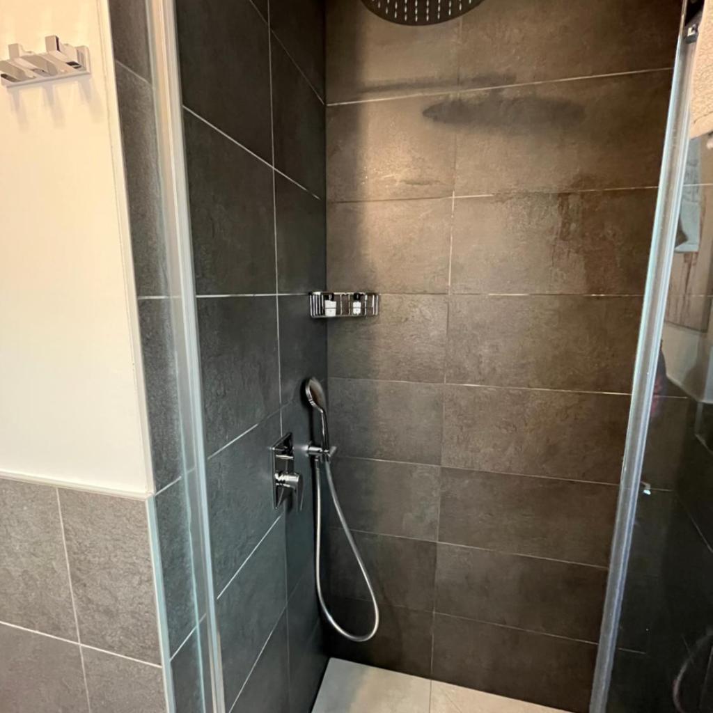 Image 17 - Violet-Sky Bellinzona