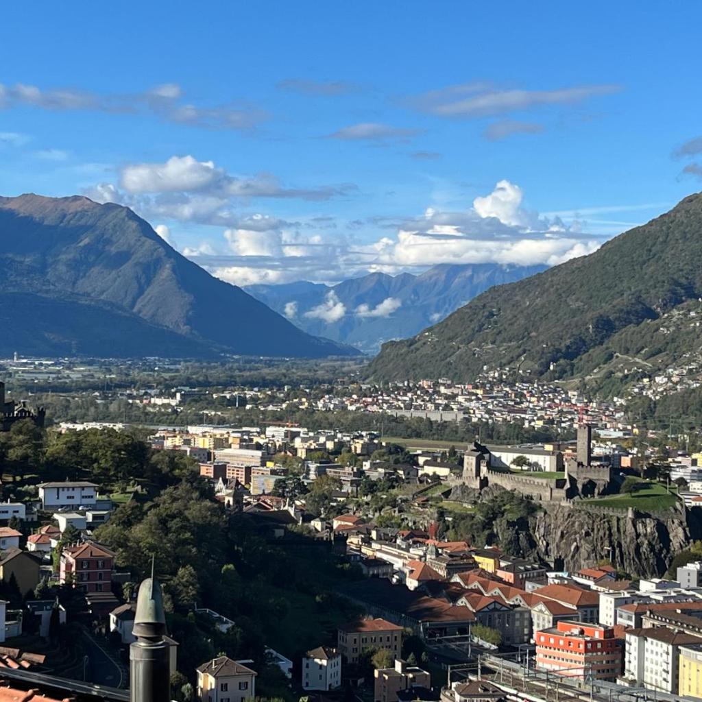 Image 11 - Violet-Sky Bellinzona
